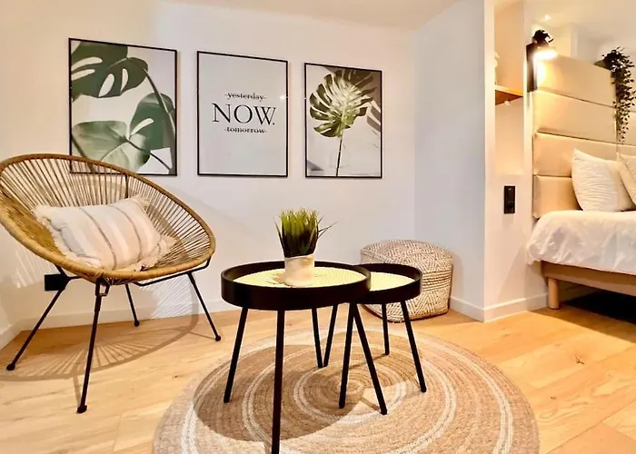 * Duplex Roassal * Modern *clim * Wifi *liberation *